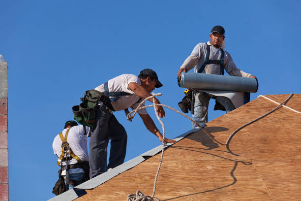 Best Roof Leak Repair  in Vauxhall, NJ
